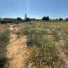 Parcela de 2.000 m2 en Venta Tocino con 4 escrituras independientes